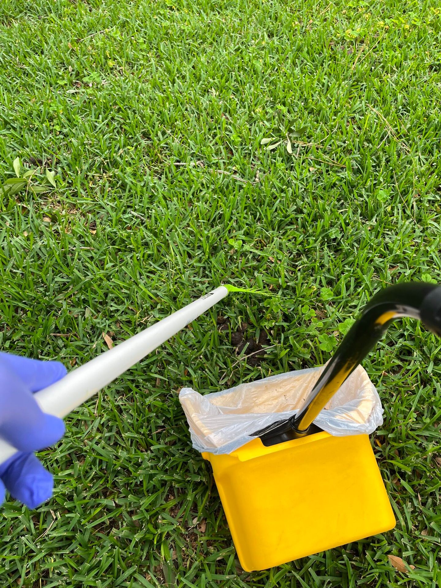 Comprehensive Yard Cleaning