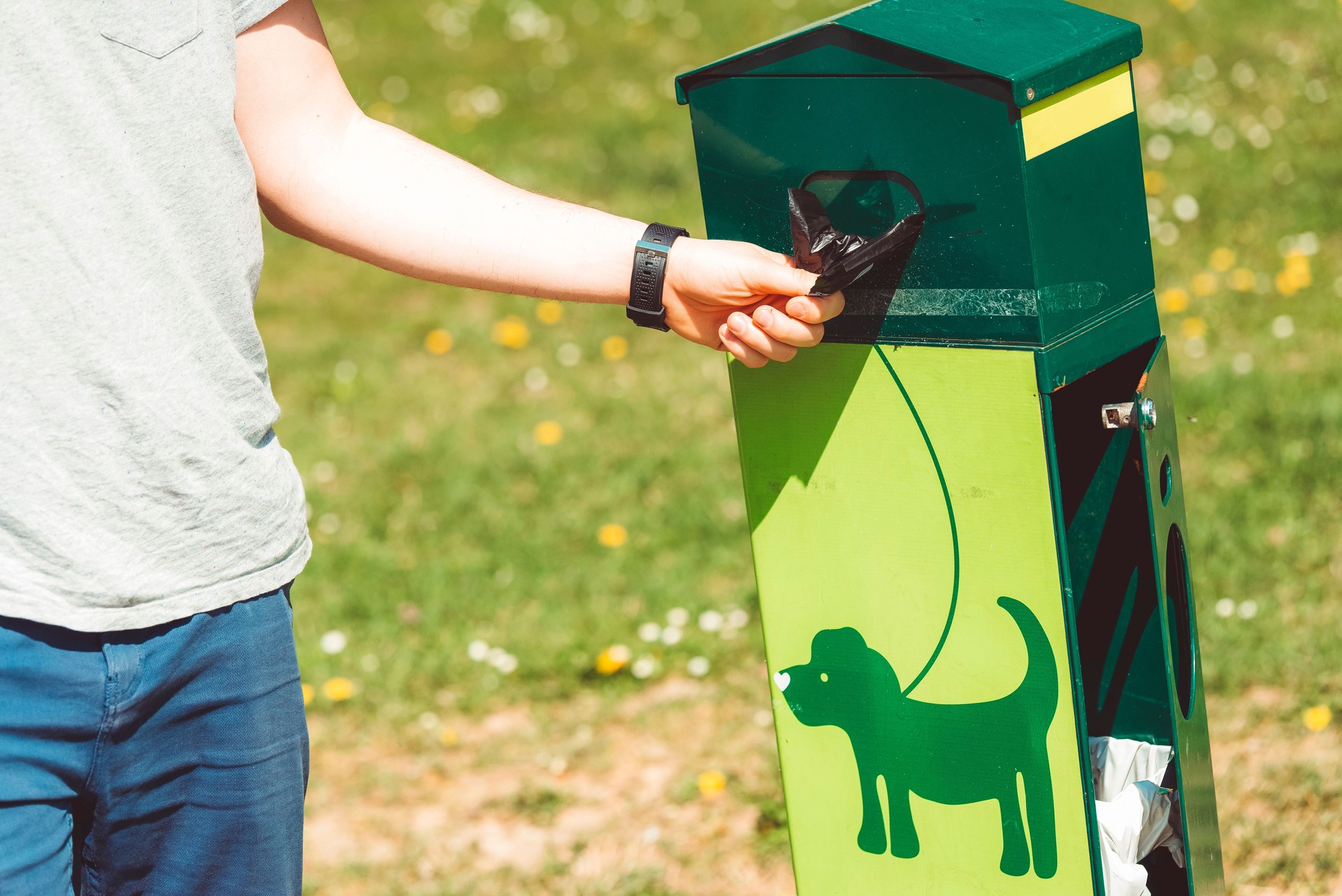 Pet Owner Using Dog waste Bags